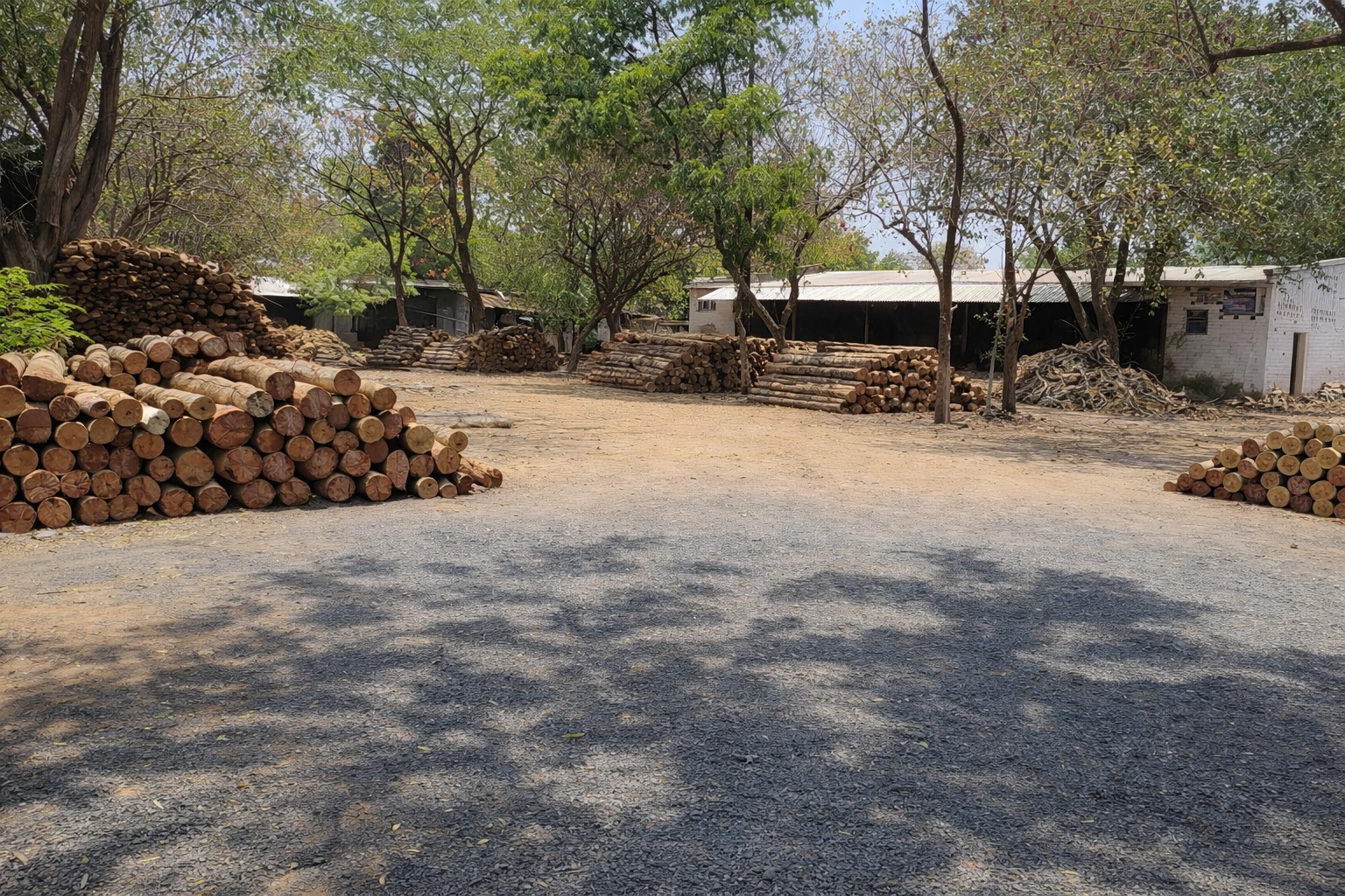 Bend Saw to Cut Raw Log
